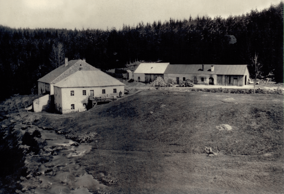 Company History
